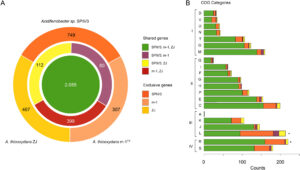 Zorin OS, Ubuntu e Debian: Um Comparativo das Três Vertentes Linux