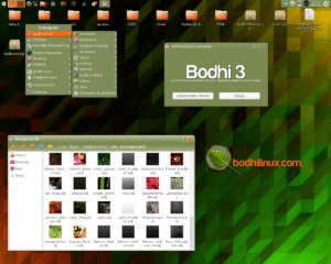 Bodhi Linux: Leveza, Personalização e o Poder do Moksha Desktop