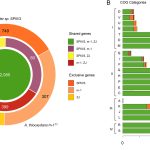 Zorin OS, Ubuntu e Debian: Um Comparativo das Três Vertentes Linux