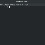 Dominando o Bodhi Linux: Os Comandos Essenciais do Terminal