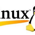 Por Que o Linux é a Escolha Inteligente para Todos: Benefícios Universais, Independentemente da Distro