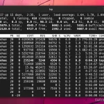 Dominando o Debian: Comandos Essenciais para Gerenciamento do Sistema