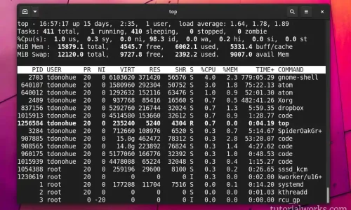 Dominando o Debian: Comandos Essenciais para Gerenciamento do Sistema