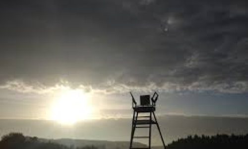 Luto e Festas de Fim de Ano: Navegando a Saudade em Meio à Celebração