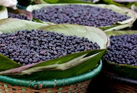 Açaí (Pará)
