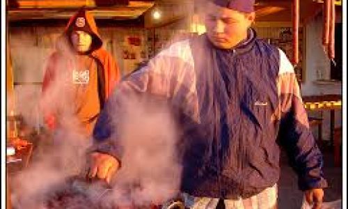 Pinhão: A Semente de Sabor Único do Sul do Brasil