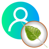 Instalação e Configuração do Bodhi Linux para Empresas e Ambiente Doméstico